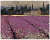 Lavender Days Láminas por James Wiens