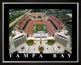 NFL Stadium - Tampa Bay, Florida Print by Mike Smith