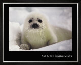 Harp Seal Pup Print by Gerry Ellis