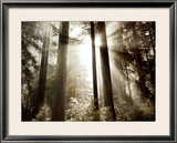 Morning Light Prints by Dennis Frates