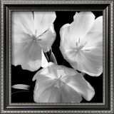 Tulips Print by Darlene Shiels