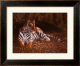 The Tiger's Lair Prints by W. Michael Frye