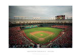 Dolphins Stadium, Miami Kunstdruck von Ira Rosen