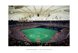 Metrodome, Minneapolis Prints by Ira Rosen