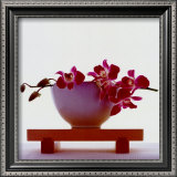 Magenta Orchids Poster Magenta Orchids Poster
