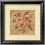 Pale Pink Rose on Antique Linen Posters by Cheri Blum