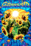 Terrapin Sunflower Print