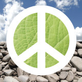 Green Peace Affiches par Jenny Kraft