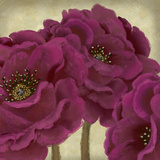 Peony Dusk II Prints by Linda Wood