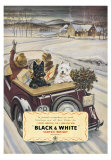 Black & White Scotch Whiskey Poster Black & White Scotch Whiskey Poster