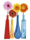Four Gerberas Affiches par Bryan Peterson