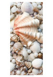 Shell Menagerie I Prints by Rachel Perry