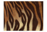 Tiger I Láminas por Norman Wyatt Jr. Tiger I Láminas por Norman Wyatt Jr.