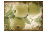 Vintage Apples II Prints by Jason Johnson