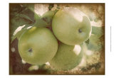 Vintage Apples III Posters by Jason Johnson