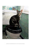 Gray Tiger Cat on the Toilet Print by Robert Mcclintock