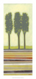 Park I Affiche par Norman Wyatt Jr.