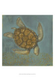 Sea Turtle I Posters by Norman Wyatt Jr.