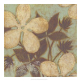 Time Worn Blossoms I Posters by Norman Wyatt Jr.