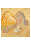 Shoreline Shells II Art by Lorraine Vail