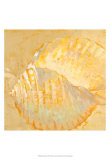 Shoreline Shells IV Affiches par Lorraine Vail