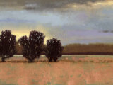 Approaching Storm II Posters by Norman Wyatt Jr.