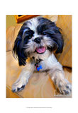 Shihtzu Baby Arte por Robert Mcclintock