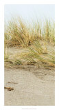 Dunes I Prints by Rachel Perry