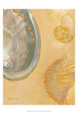 Shoreline Shells V Kunstdruck von Lorraine Vail