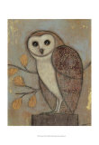 Ornate Owl II Prints by Norman Wyatt Jr.