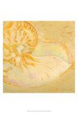 Shoreline Shells I Posters by Lorraine Vail