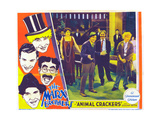 Animal Crackers, Harpo Marx, Zeppo Marx, Groucho Marx, Chico Marx, Margaret Dumont, 1930 Posters Animal Crackers, Harpo Marx, Zeppo Marx, Groucho Marx, Chico Marx, Margaret Dumont, 1930 Posters