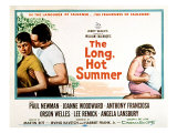 The Long, Hot Summer, Joanne Woodward, Paul Newman, Lee Remick, Anthony Franciosa, 1958 Posters