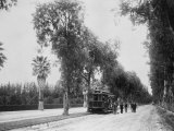 California Citrus Heritage Recording Project, Magnolia Avenue, Riverside County, 1920-1930 Posters
