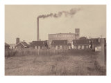 Row of Disreputable Houses at the Edge of the Mill Settlement, Alabama, 1910 Affiches par Lewis Wickes Hine