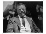 Theodore Roosevelt, Photo by Charles Duprez 1912 Posters