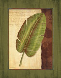 Palm Tropical II Prints by Delphine Corbin