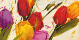Tulipanes Póster por Antonio Massa Tulipanes Póster por Antonio Massa