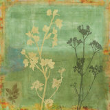 Eco-Floral I Affiches par Chris Donovan