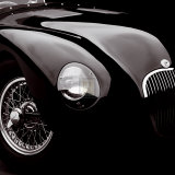 Jaguar C-Type Obrazy Jaguar C-Type Obrazy