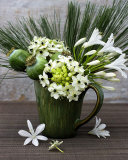Flowers in a Vase Poster von Catherine Beyler