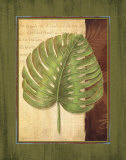 Palm Tropical IV Prints by Delphine Corbin