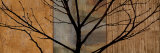 Arboreal I Posters por Chris Donovan Arboreal I Posters por Chris Donovan