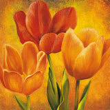 Orange Tulips I Prints by David Pedersen