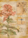 Flora Dragonfly Art par Paul Brent