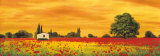 Field of Poppies Posters by Richard Leblanc
