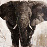 Elephant Prints by Emmanual Michel