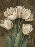 Petit Jardin Tulips Posters by Pamela Gladding