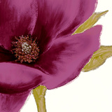 Grandiflora Blush I Prints by Linda Wood