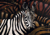 Zebras Posters by Marianne Julie Jegou